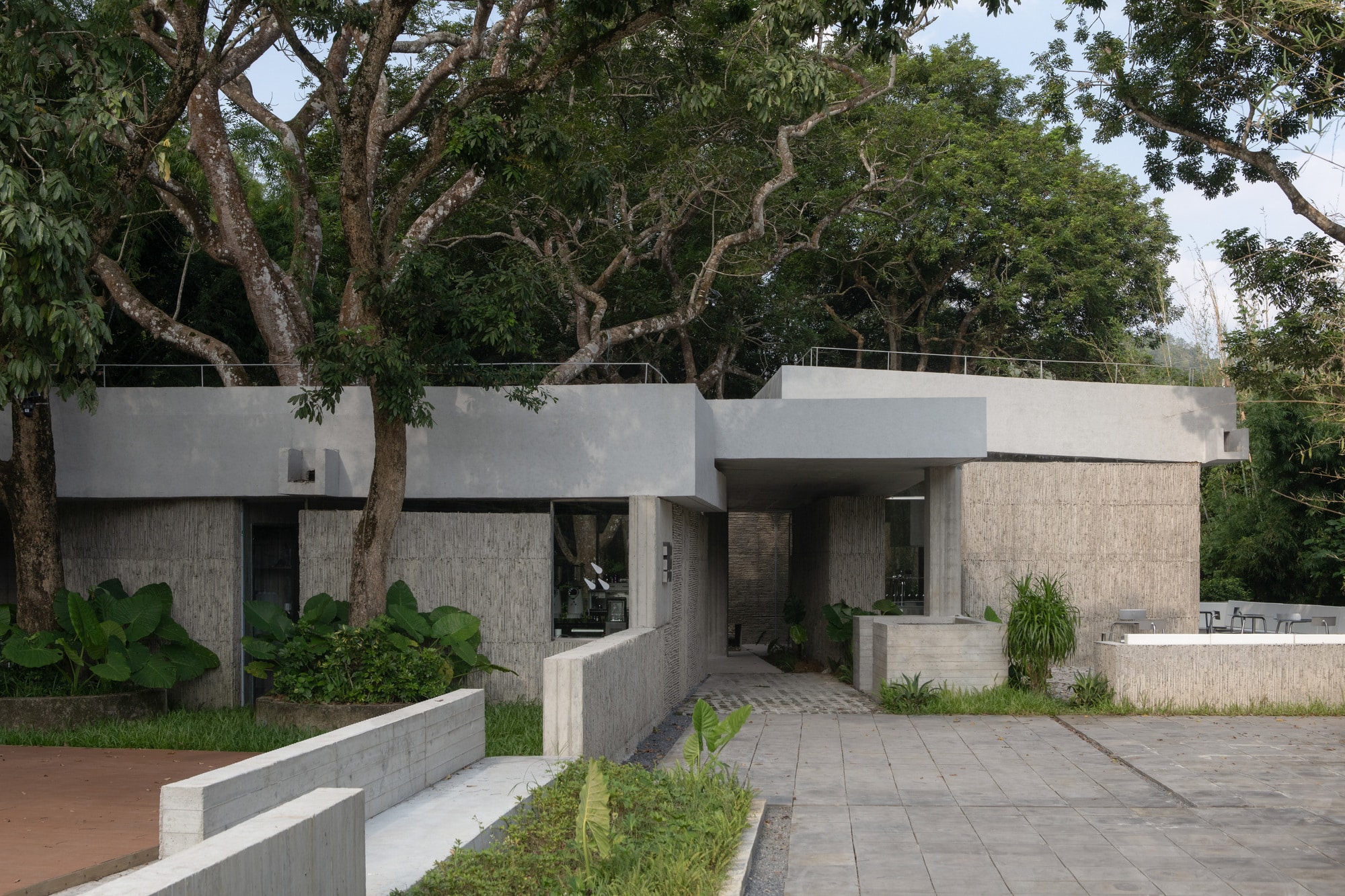 Exterior view of Noon Repose Pavilion in Huizhou showing textured concrete walls integrated with mature trees and a riverside landscape.