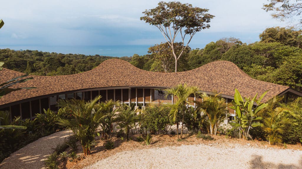 Exterior view of Ojo de Nila house showing the organic wavy roof design blending with the lush jungle canopy and ocean view in Bahia Ballena.