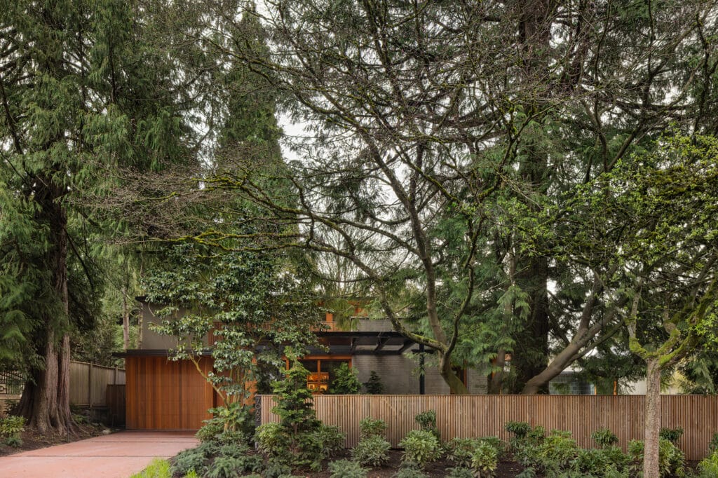 Front entrance of a mid-century bungalow in Vancouver shielded by a dense natural canopy of mature cedar and maple trees.