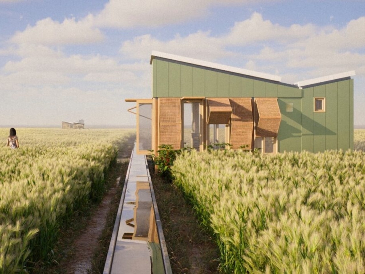 Sustainable small house in Punjab with green facade and permeable wooden screens overlooking a wheat field.