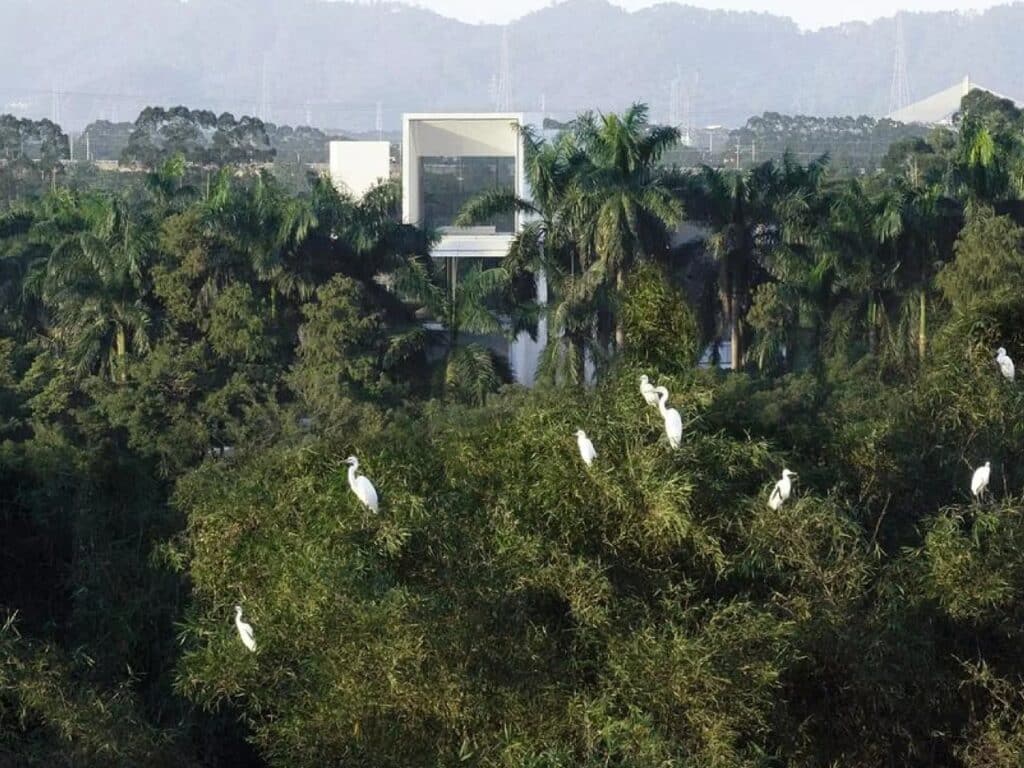 The Pearl River Delta Wetland Museum partially hidden behind a dense forest of bamboo and palm trees with egrets in the foreground.