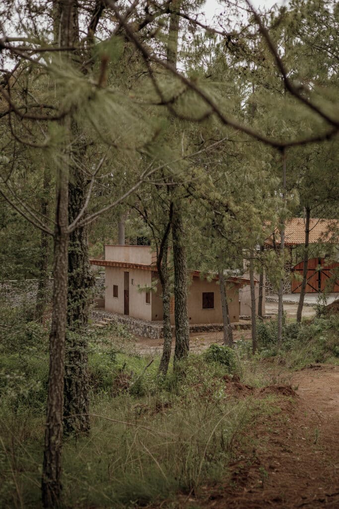 Distant view of a 80 square meter cabin integrated into the Tapalpa forest landscape showing visual camouflage.
