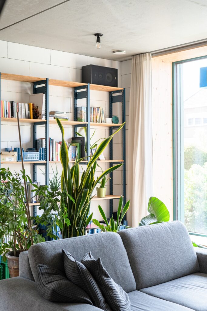 Interior of Muide District House living room with a grey sofa, indoor plants, industrial shelving, and large windows.