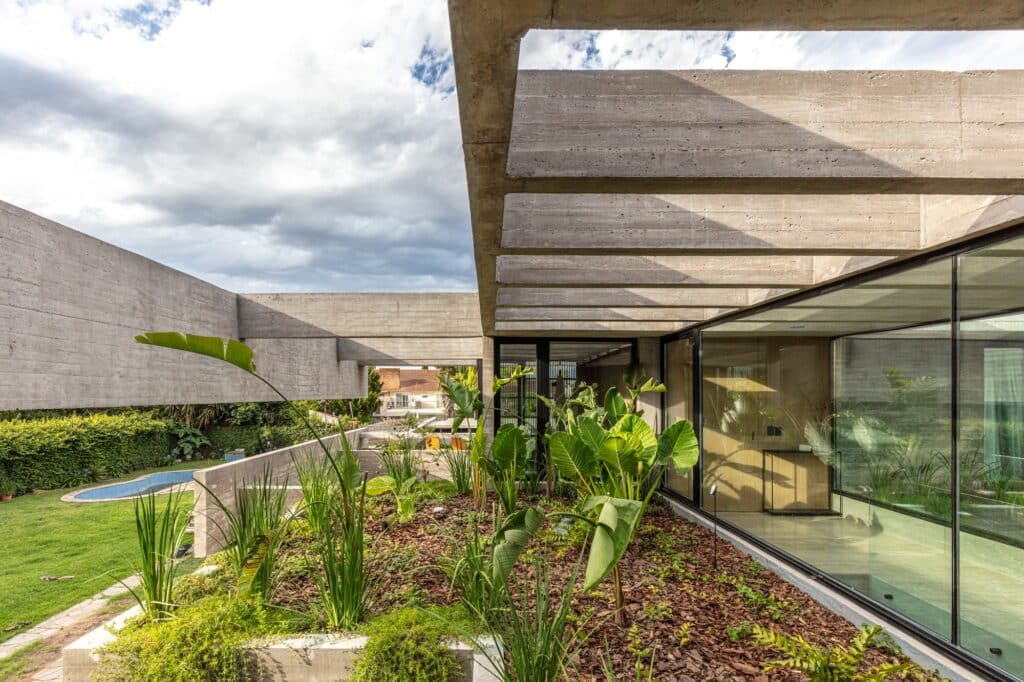 Close-up of concrete beams and rooftop vegetation at Casa Machado, showing the integration of plants within the architectural frame.