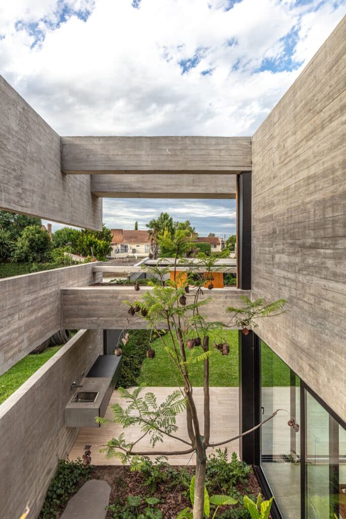 Vertical view of an internal courtyard in Casa Machado with a tall tree surrounded by concrete walls and glass windows.