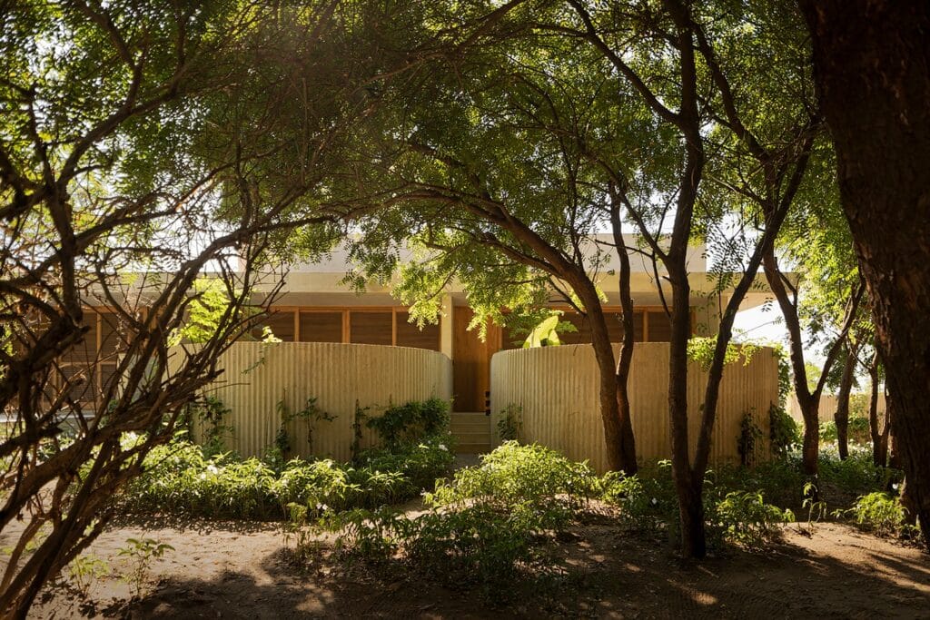 Exterior view of Casa Ohana's curved concrete walls partially obscured by a dense canopy of tropical trees.
