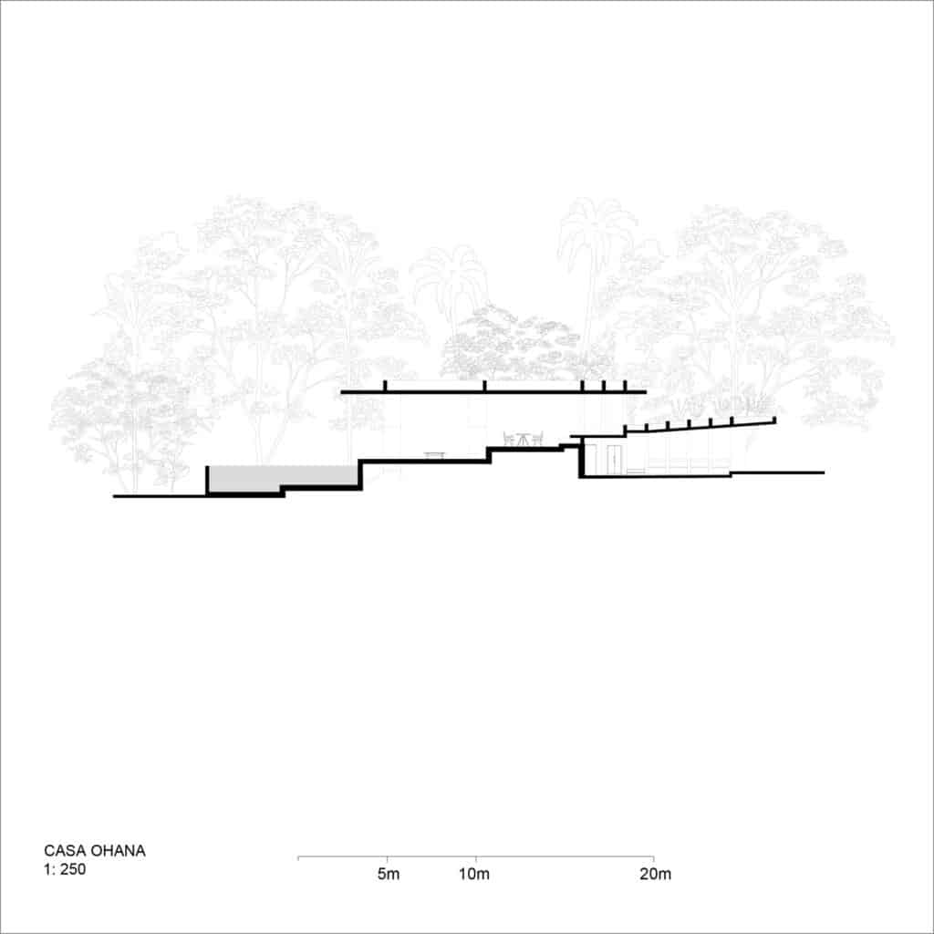 Architectural cross-section drawing of Casa Ohana showing the relationship between the built volumes, the sloping terrain, and tall tropical trees.