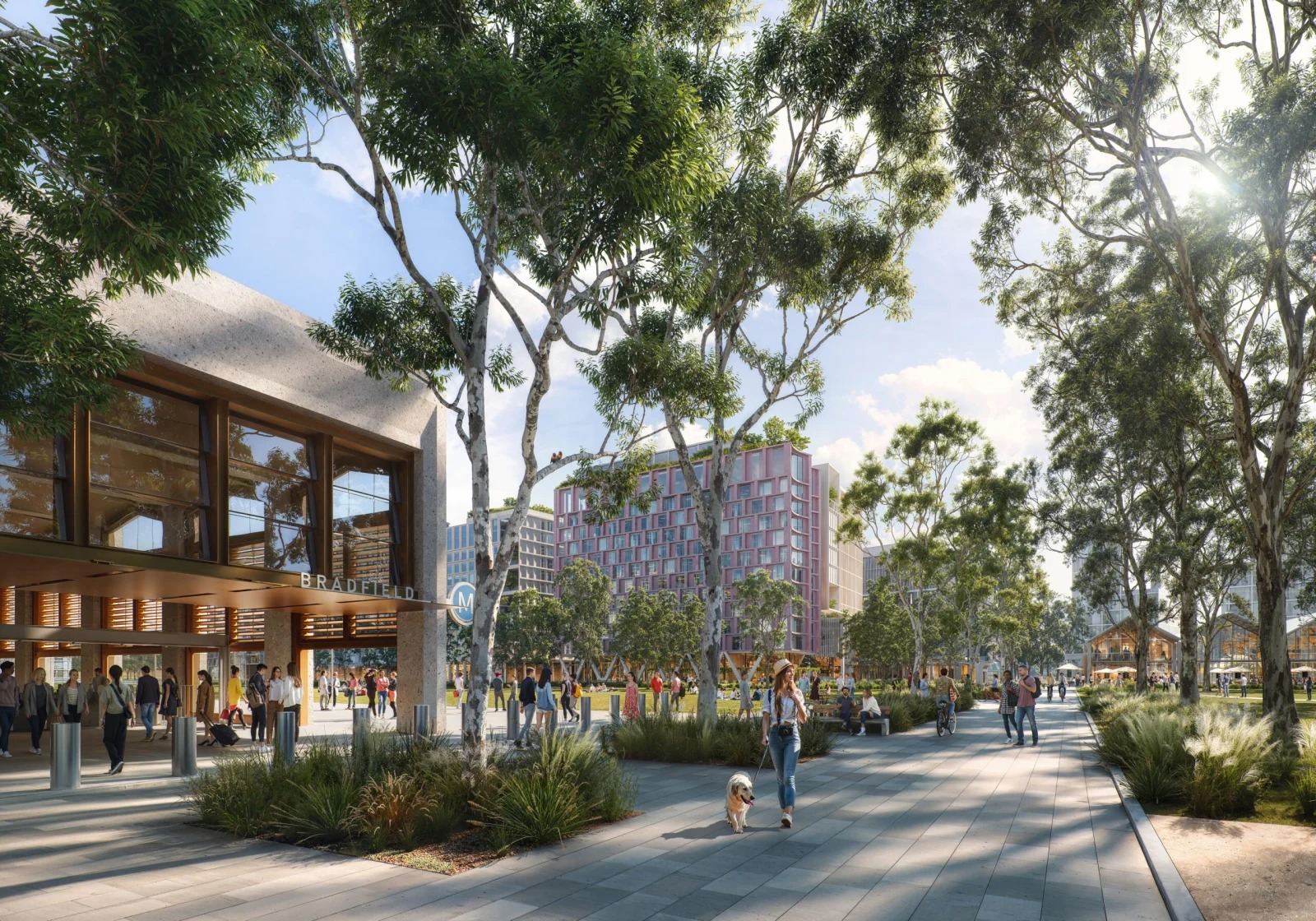 Street-level view of the Bradfield City masterplan civic plaza featuring a metro station entrance, timber pavilion, and pedestrian pathways shaded by eucalyptus trees.