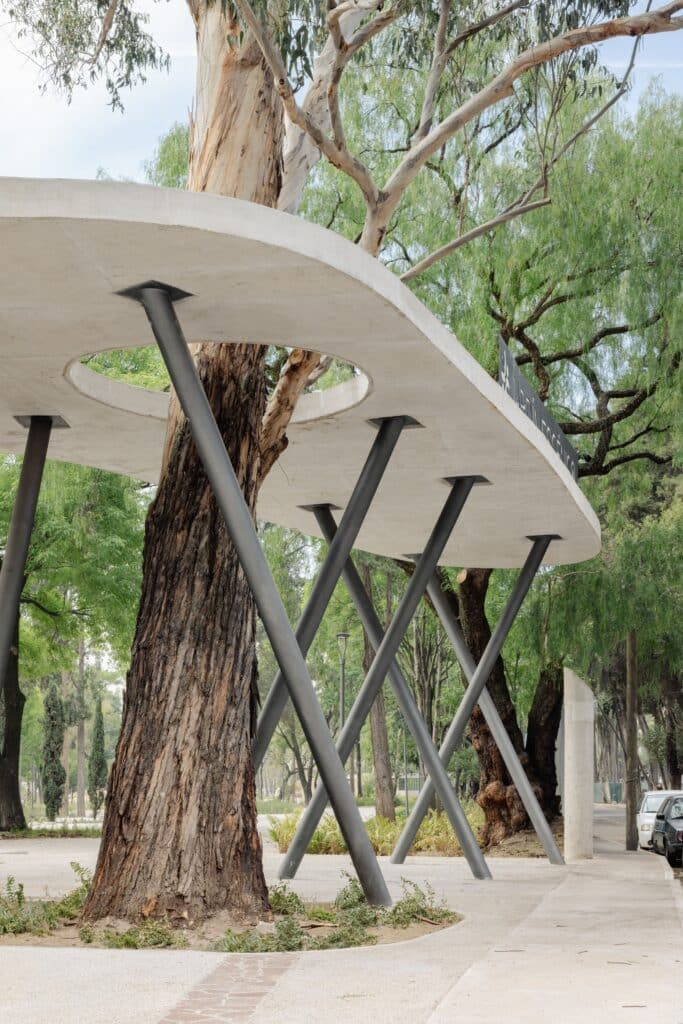 Close-up of slanted steel columns supporting a concrete roof with a circular cutout for an existing tree to grow through.