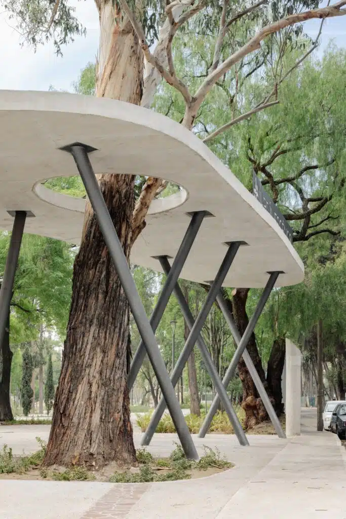 Close-up of slanted steel columns supporting a concrete roof with a circular cutout for an existing tree to grow through.
