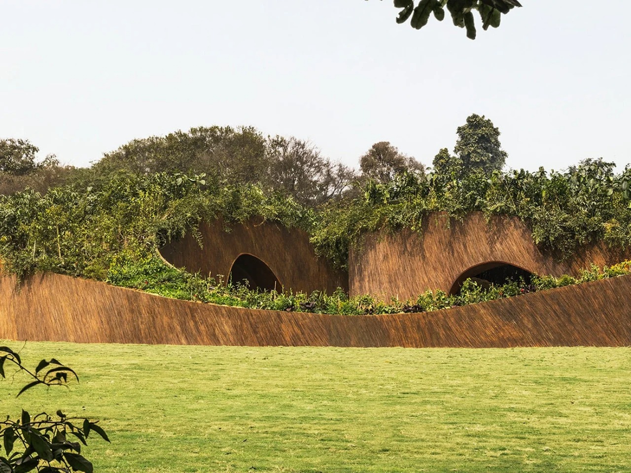Side view of the Aranyani Pavilion featuring undulating walls made of woven Lantana camara stalks and a lush green living roof.
