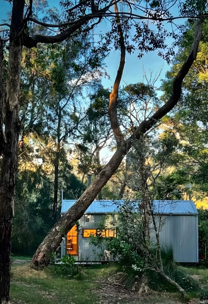 Zinc Studio cabin nestled among tall trees, showing its integration into the natural landscape.
