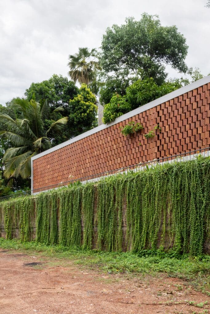 Close-up of a textured laterite stone wall atop a high boundary wall covered in thick green vines.