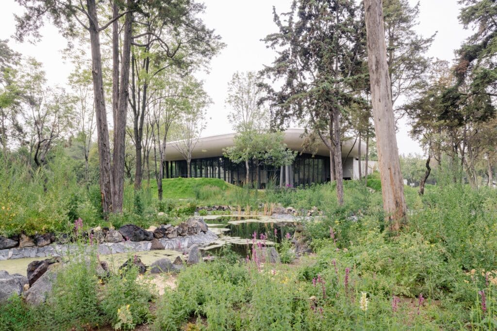 A serene water garden with aquatic plants and rocks in front of a modern pavilion nestled among tall trees.
