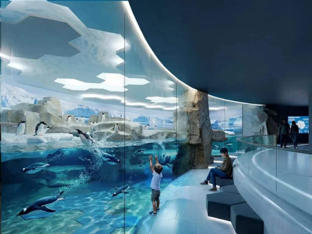 Penguin habitat in the Ice element zone featuring underwater viewing glass and hexagonal ceiling lighting at House of Elements.