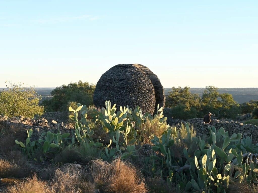 The Ninho Globo sphere positioned in the distance behind a field of prickly pear cacti during golden hour.