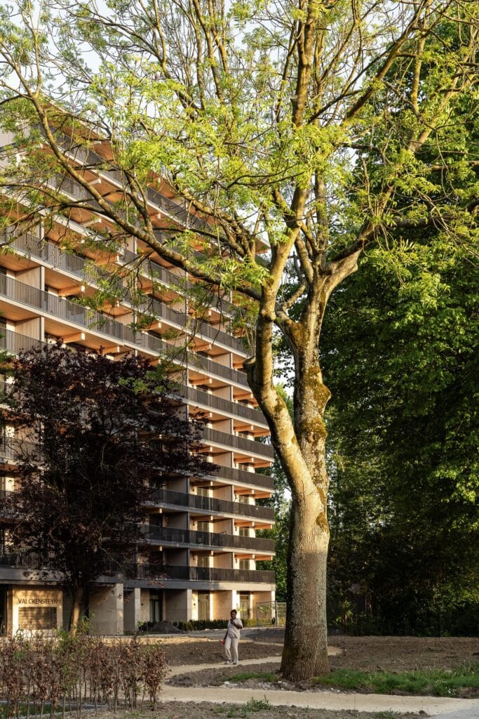 A person walking past a large mature tree with the Valckensteyn timber building in the background.