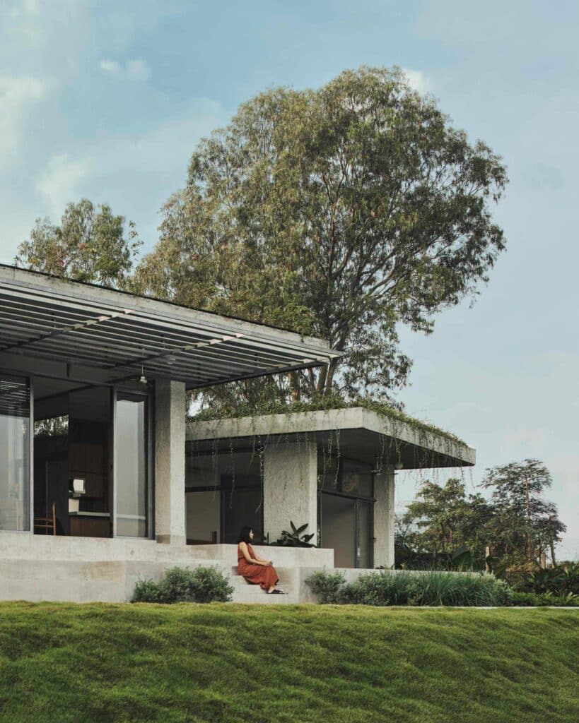 A woman sitting on concrete steps of a modern house with a large tree in the background.