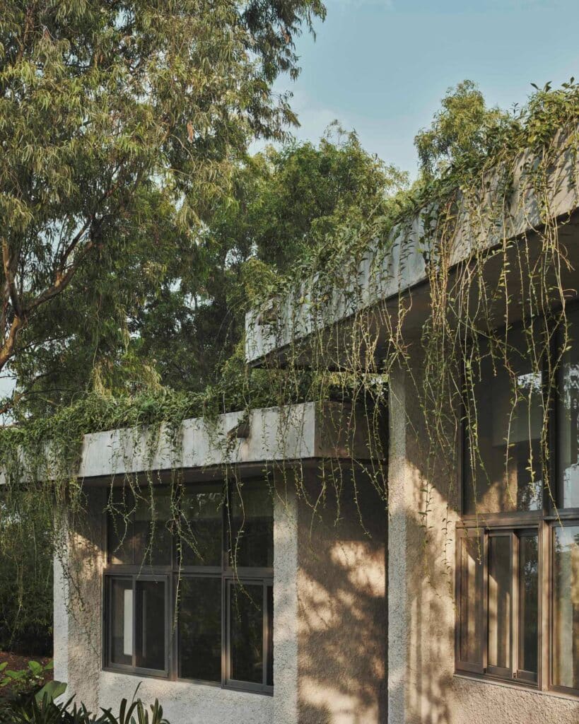 Close-up of textured concrete walls and windows with soft shadows from nearby trees.