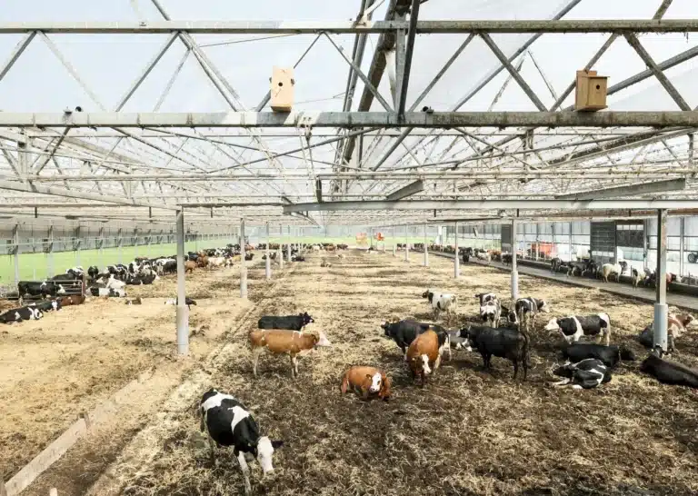 Large‑scale installation from the Convivium exhibition by Johannes Schwartz featuring the Dairy Farm project at the Architektur Museum.