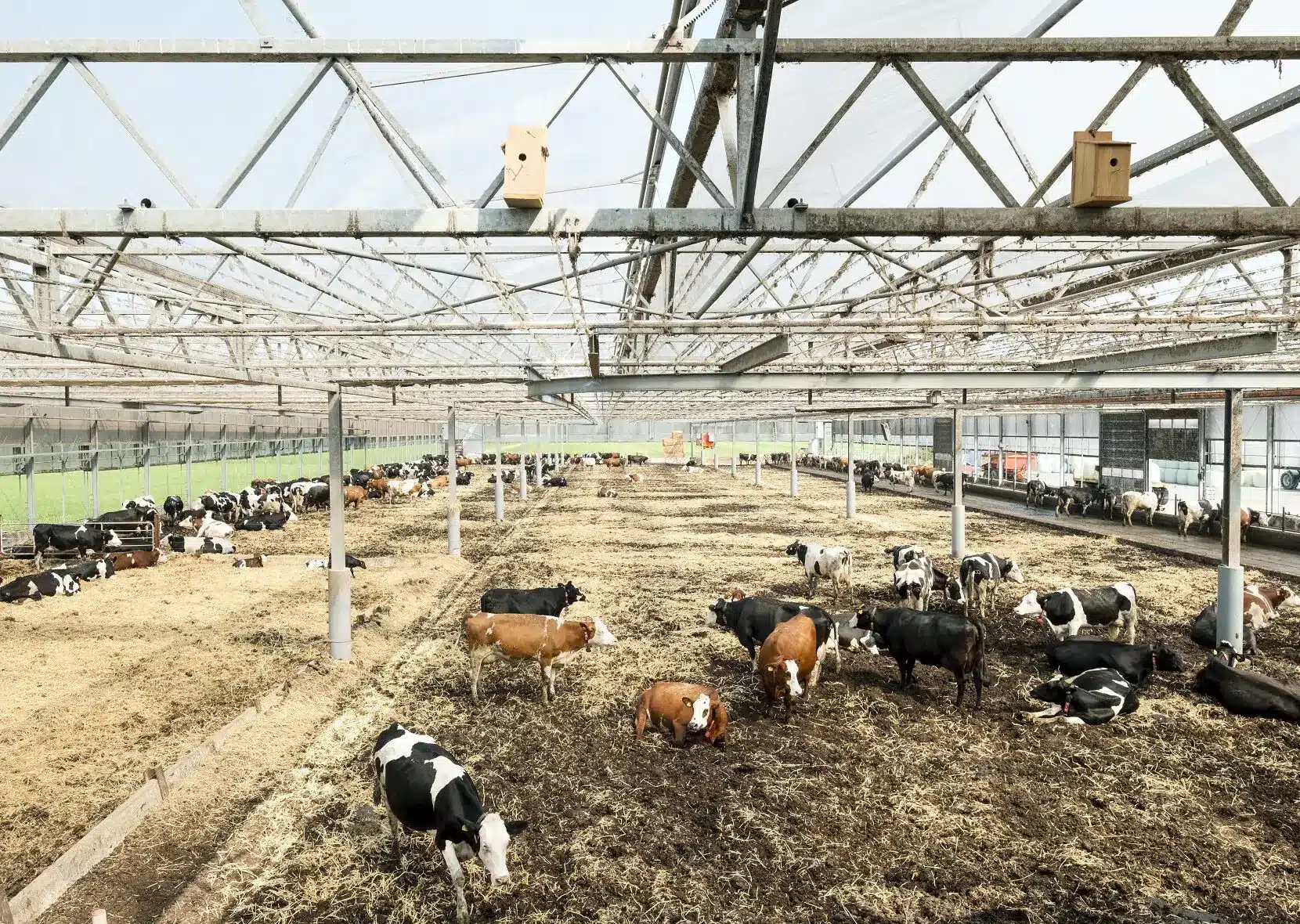 Large‑scale installation from the Convivium exhibition by Johannes Schwartz featuring the Dairy Farm project at the Architektur Museum.