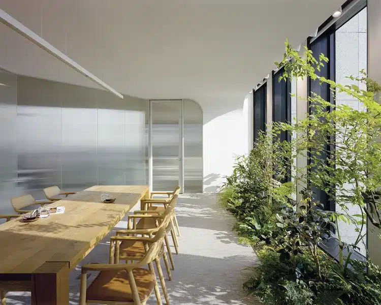 Bright workspace corridor with natural wood furniture and plants