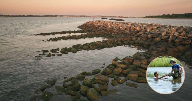 Portrait of landscape architect Kate Orff featured in Harvard GSD lecture “Throughlines” 2026