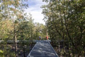 Children walking on a raised metal grid walkway through a dense forest of Tessaria integrifolia in Malba Puertos.