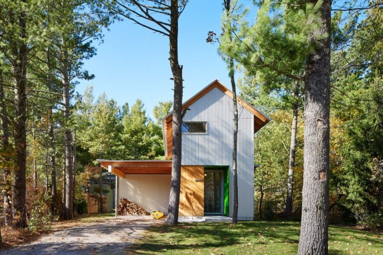 Exterior front view of Liten Hytte House showing corrugated metal cladding and wooden entrance nestled in a pine forest.