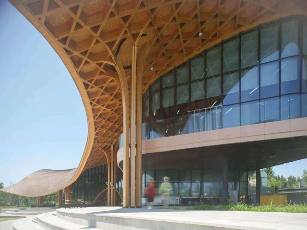 Low angle view of the branching glulam columns supporting the overhanging roof.