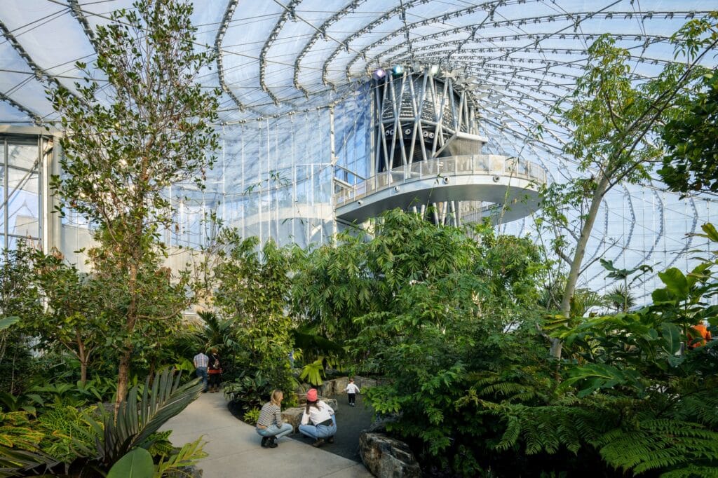 Lush indoor garden at The Leaf with visitors exploring the pathways under the expansive translucent roof.