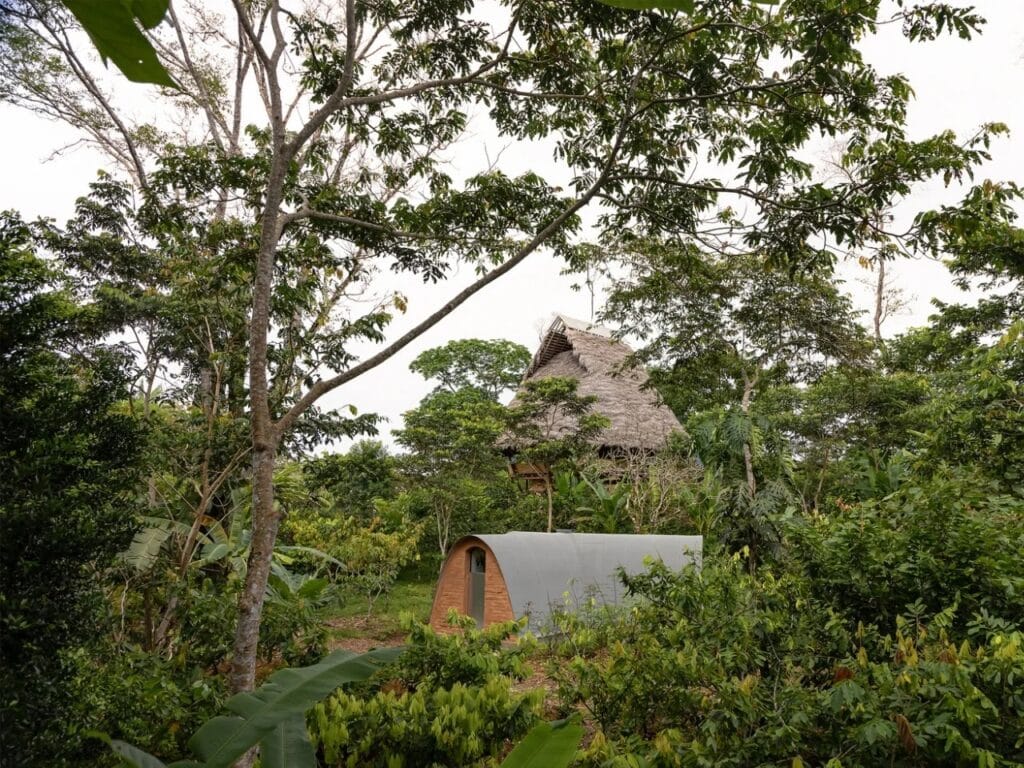 View of the vaulted Witocha Lab in the foreground with a traditional thatched-roof Amazonian hut in the background, surrounded by dense jungle.