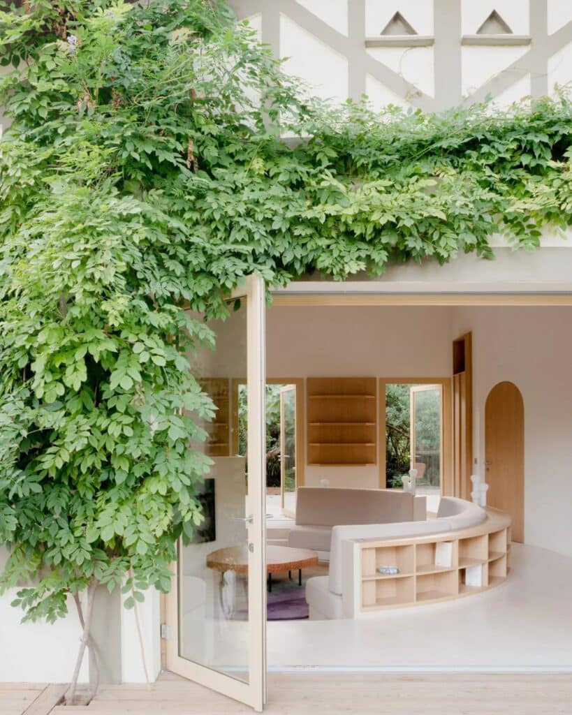 View from the wooden terrace into the Seaside House interior, showing a lush green vine climbing the white facade.