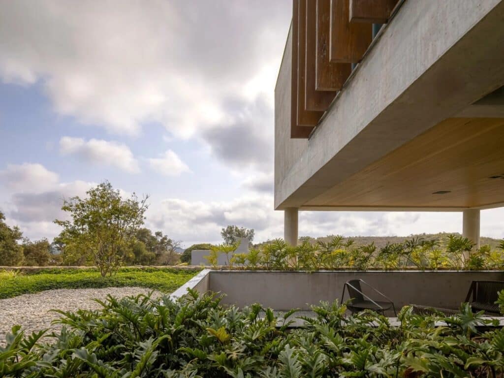 Close-up of green plants in a concrete planter box with a view of the distant hills at GM House.