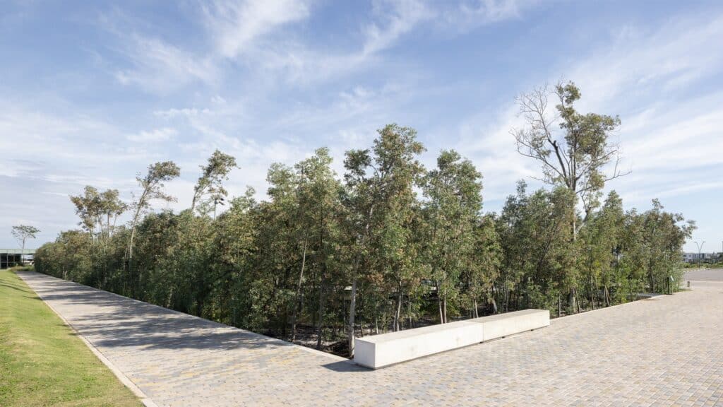 Wide stone-paved pedestrian path alongside the river mangrove forest with minimalist concrete benches.