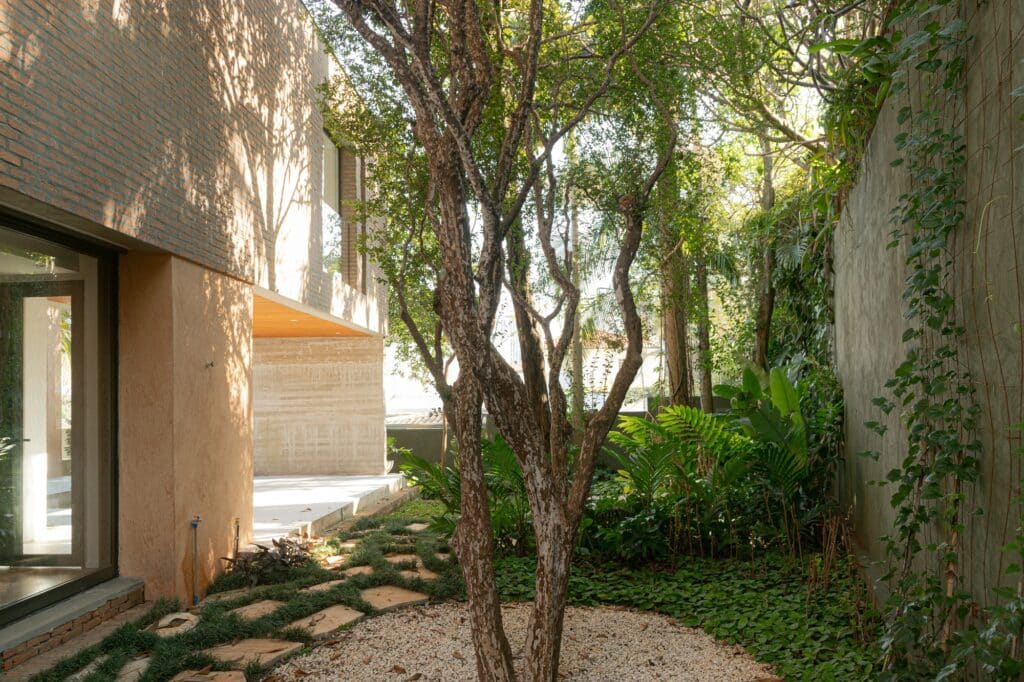 Side garden path with stone pavers, dense tropical plants, and the textured building wall.