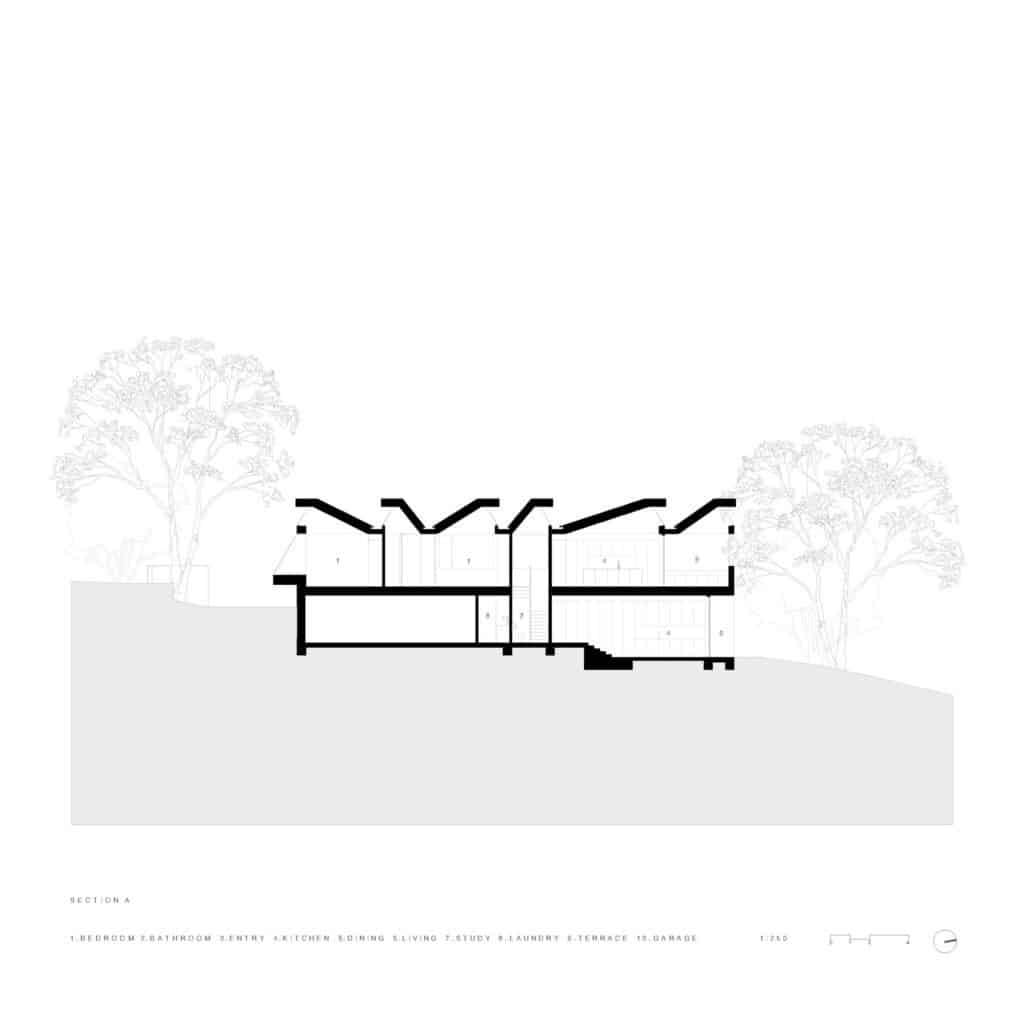 Architectural section drawing of Lane Cove House showing the sawtooth roof profile and interior height variations.