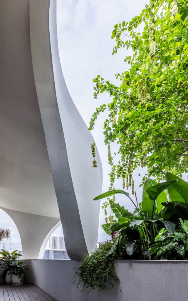 Lush green plants hanging from a white curved balcony against a bright sky.