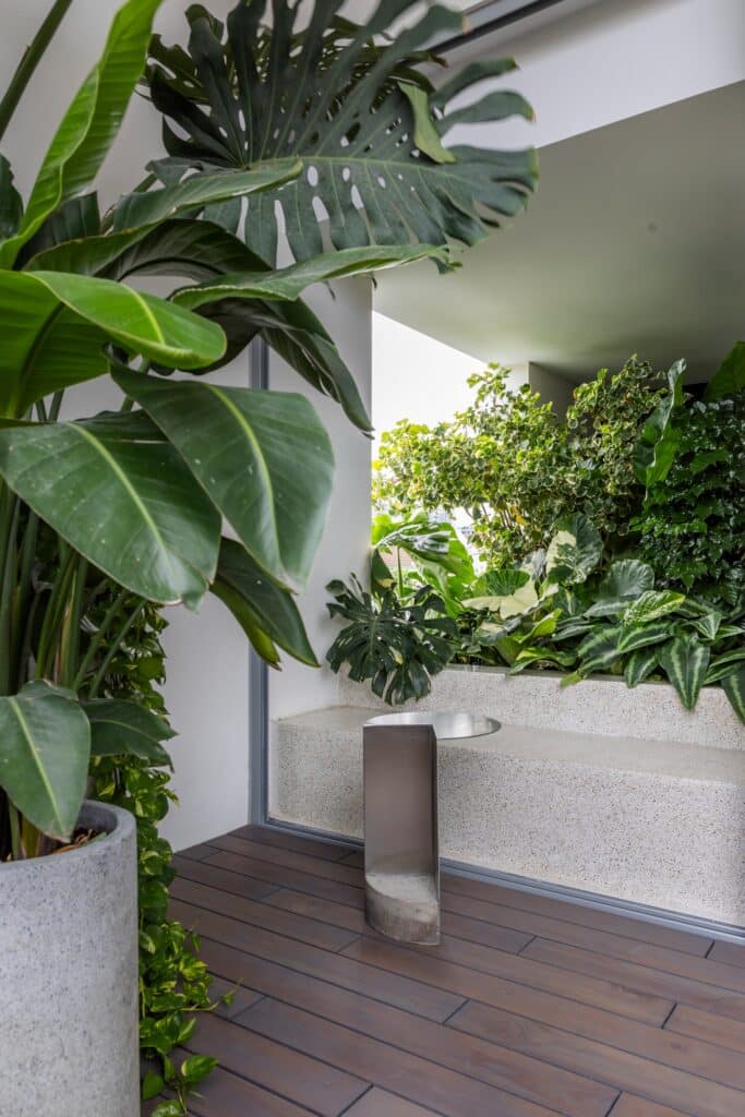 Modern outdoor seating area with a wooden deck, stone bench, and large-leaf tropical plants.