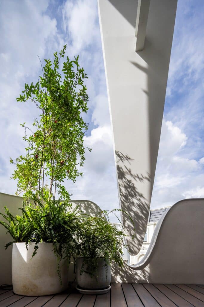 Potted plants on a wooden deck next to a sharp, sculptural white architectural element under a blue sky.