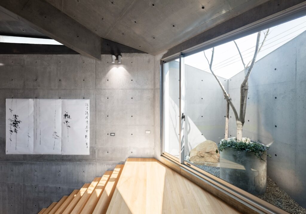 Sunlit museum corner with wooden steps, large glass windows, and an indoor planter tree looking out to an enclosed patio.