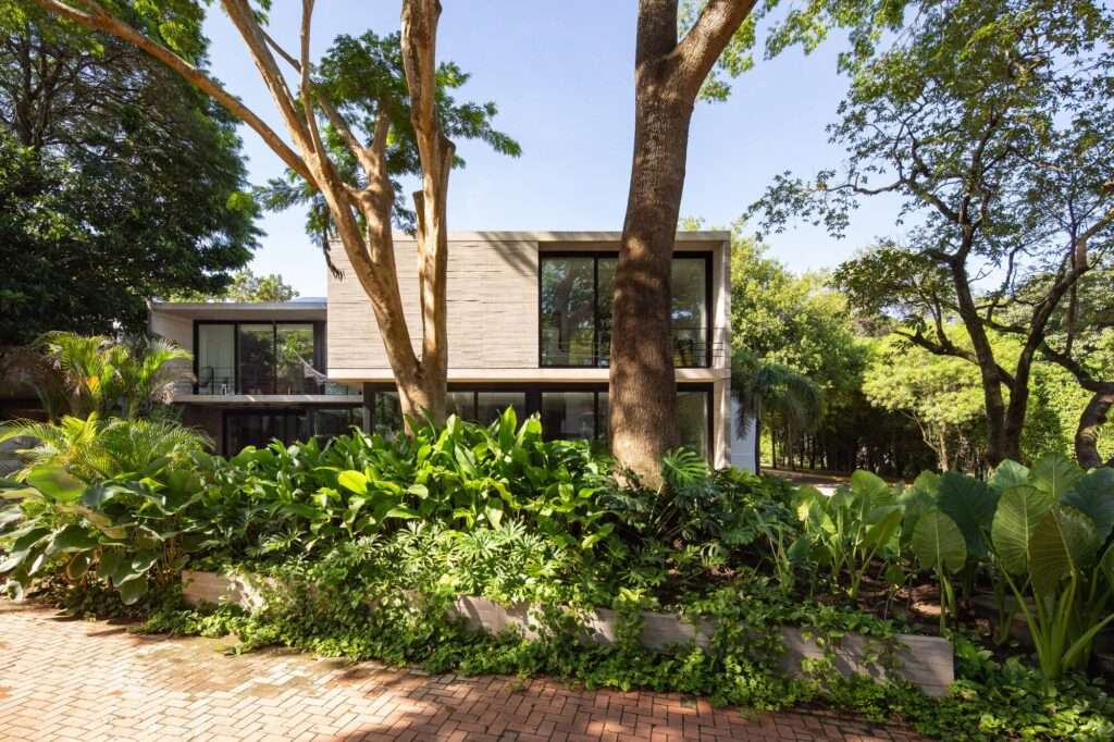 Exterior view of Casa Refugio&rsquo;s concrete facade integrated with existing mature trees and dense tropical vegetation.