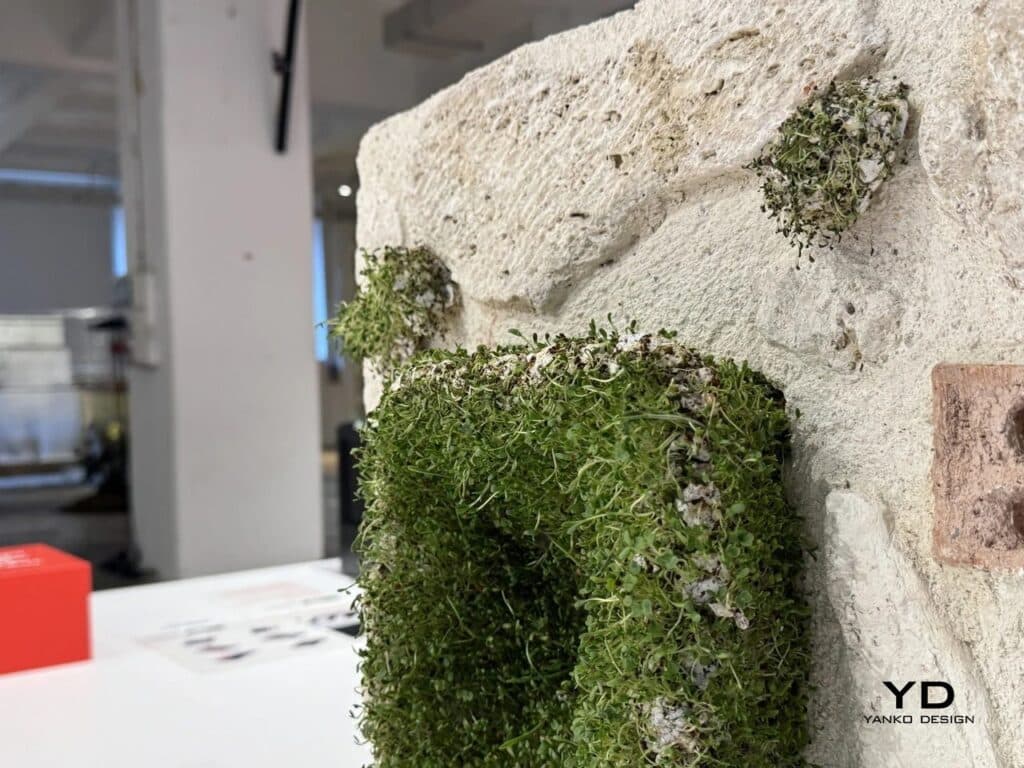 Macro view of a square bio-unit attached to a rough stone surface with green sprouts.