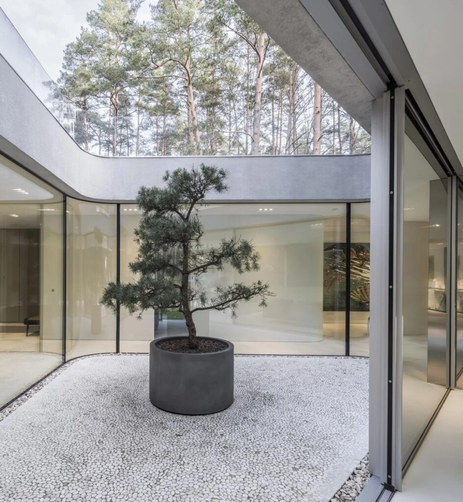 Internal courtyard of Trim House with a single decorative tree, white pebble flooring, and curved glass walls.