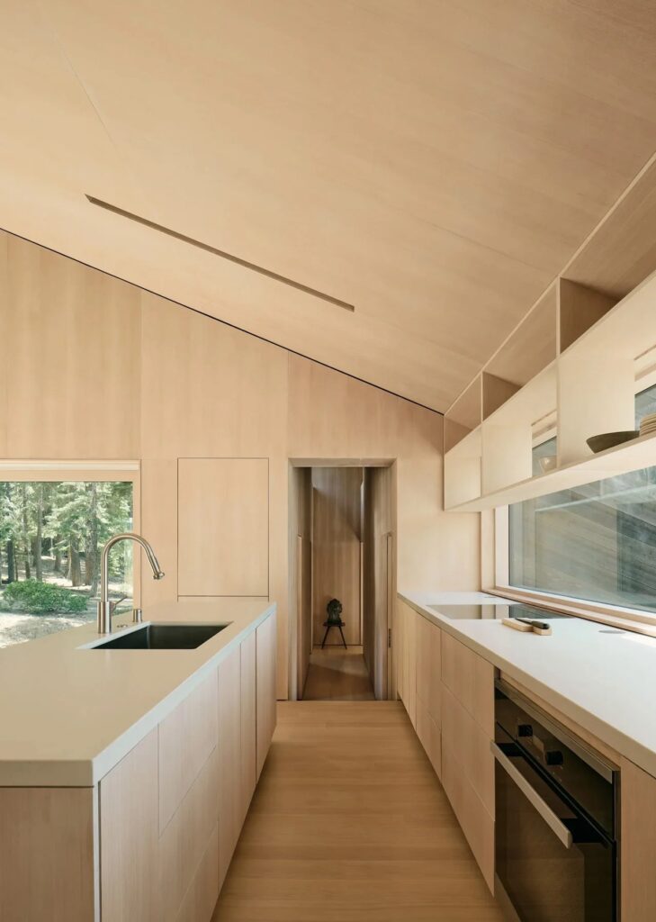 Interior kitchen of Staggered Cabin featuring Douglas Fir plywood cabinetry and minimalist design.