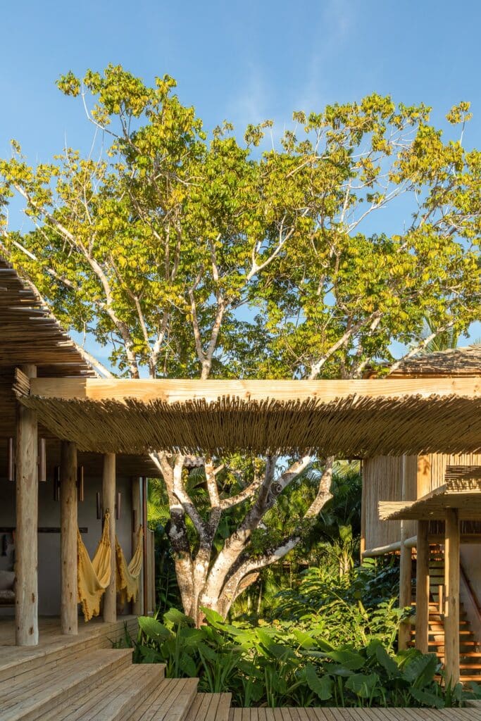 Close-up of a rustic wood pergola and deck at MP House, framing a central tree and the transition to the living areas.