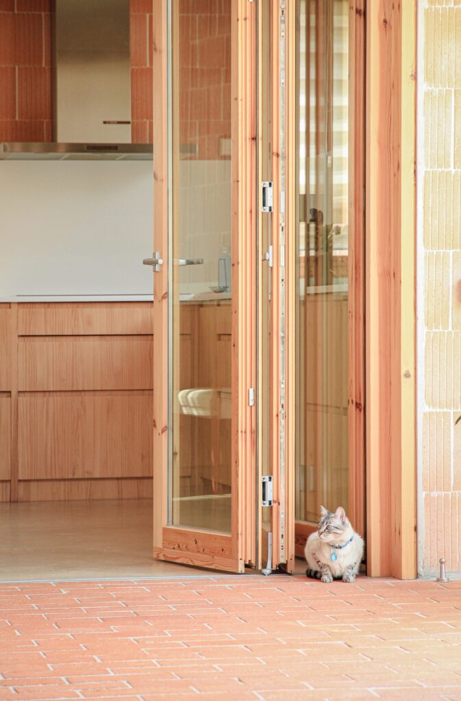 Detail of wooden folding glass doors opening to a brick patio with a cat sitting in the doorway.