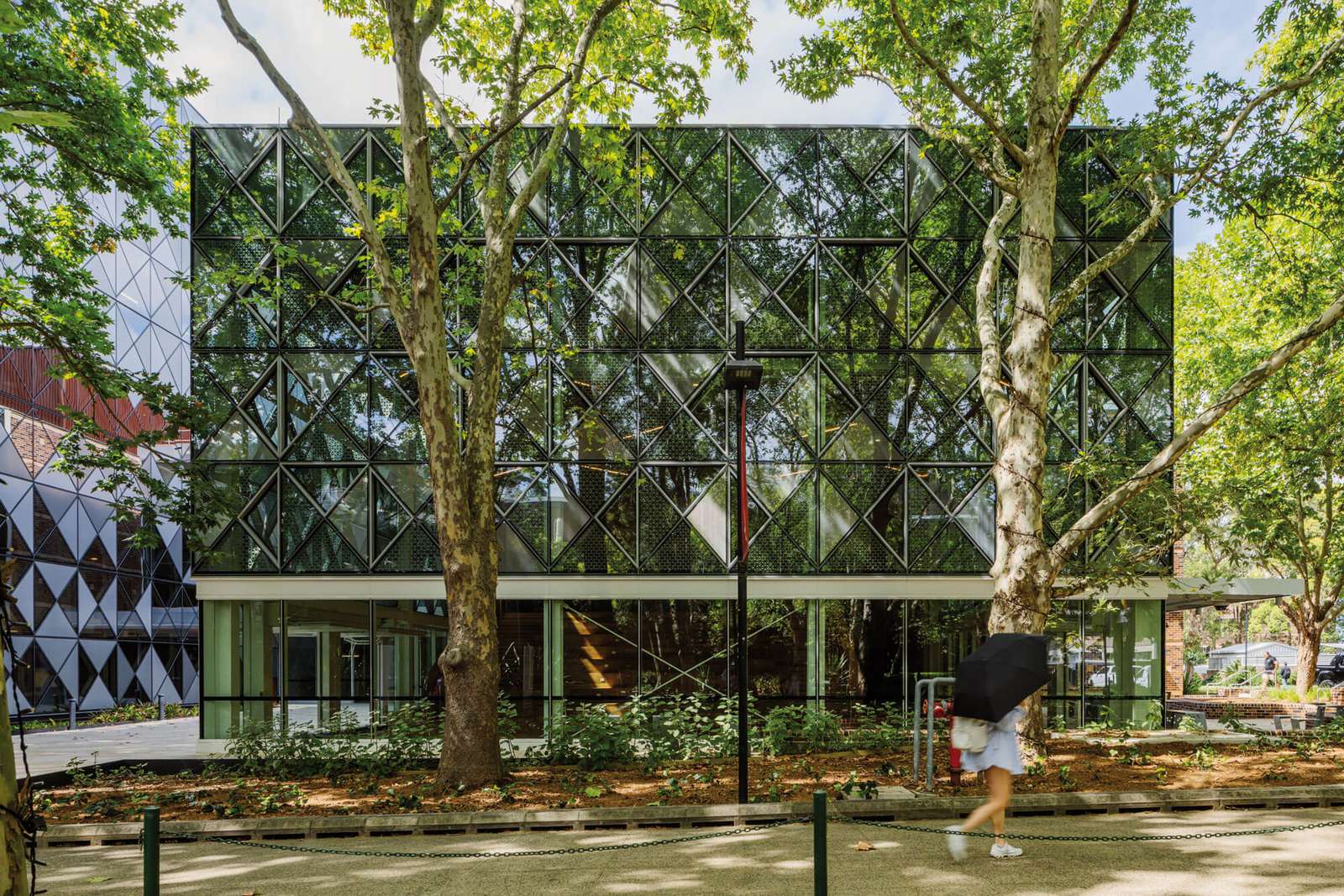 A low-angle view of a modern glass facade behind large mature trees with a pedestrian walking past.