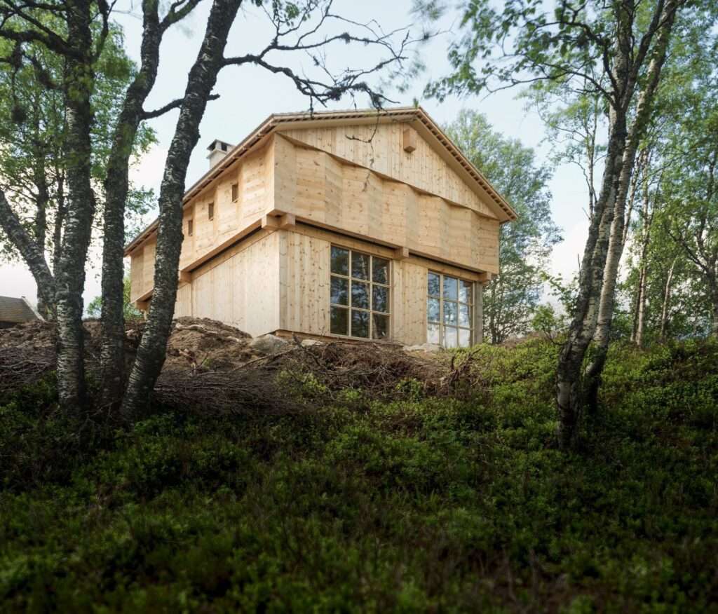 Exterior view of the Timber Temple cabin showing its traditional wooden facade and rhythmic geometric cladding set in a birch forest.