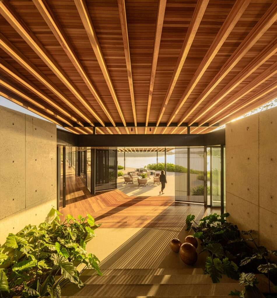 Perspective view along a modern wooden walkway leading toward trees under a clear blue sky.